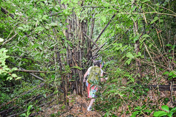 Mount Obama Hiking Adventure - Group Size and Accessibility