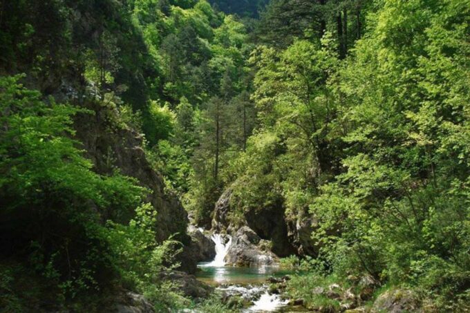 Mount Olympus 2 Days Tour From Athens - Hiking in Enipeas Gorge