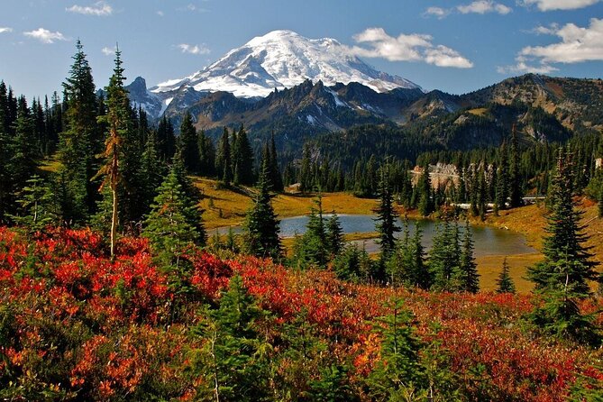 Mount Rainier Customized Tour From Seattle - Key Points