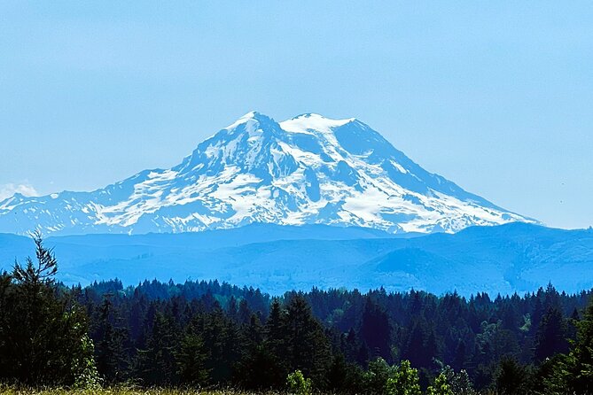 Mount Rainier Customized Tour From Seattle - Tour Accessibility and Restrictions