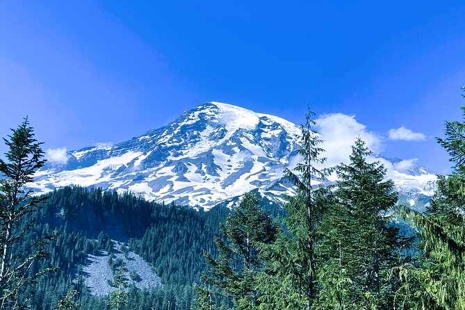 Mount Rainier Customized Tour From Seattle - Cancellation and Refund Policy