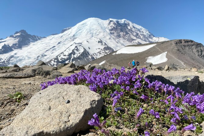 Mount Rainier Day Hike - Accessibility and Restrictions