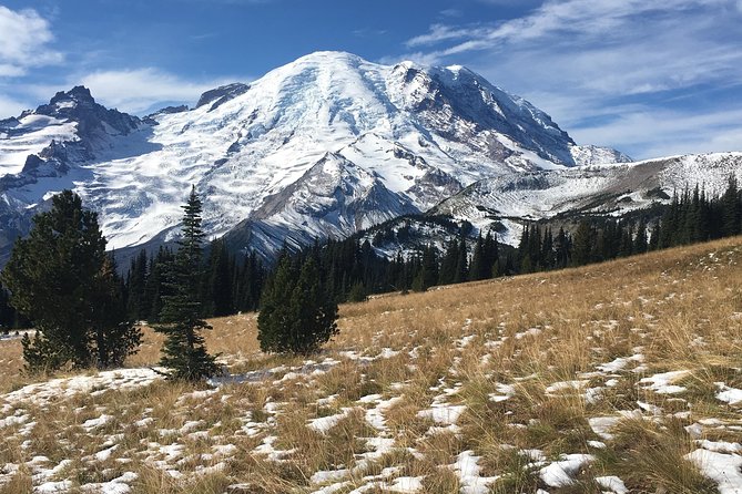 Mount Rainier Day Hike - Reviews and Group Size