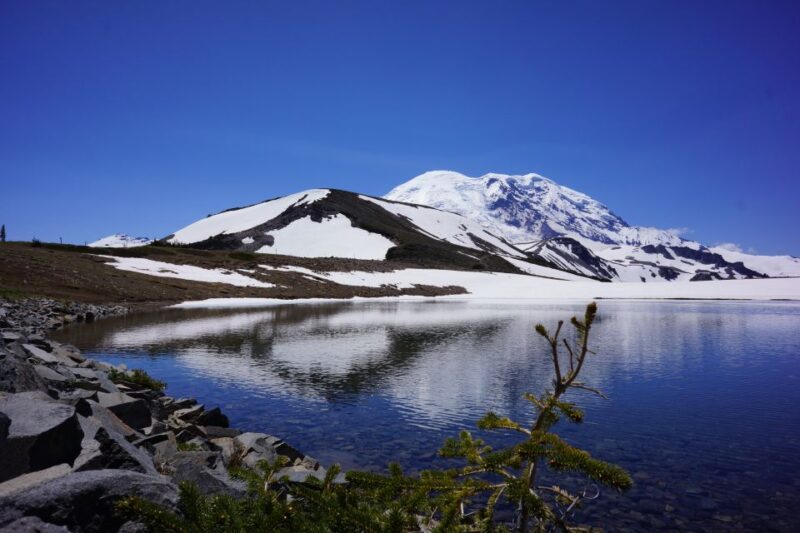 Mount Rainier: Day Hike on the Mountain - Hiking Details