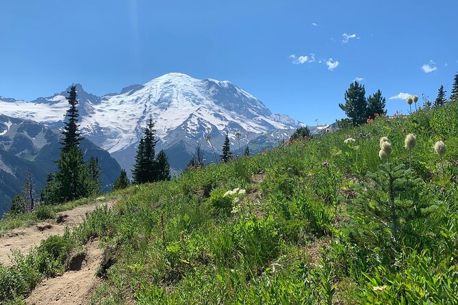 Mount Rainier Full Day Private Tour and Hike - Gourmet Picnic Lunch