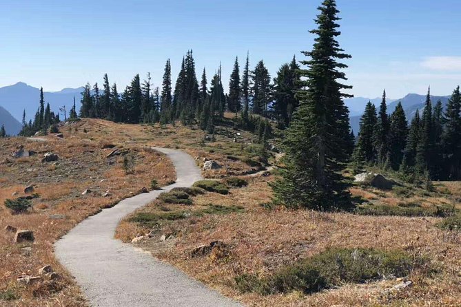 Mount Rainier National Park Day Tour From Seattle - Tour Confirmation and Accessibility