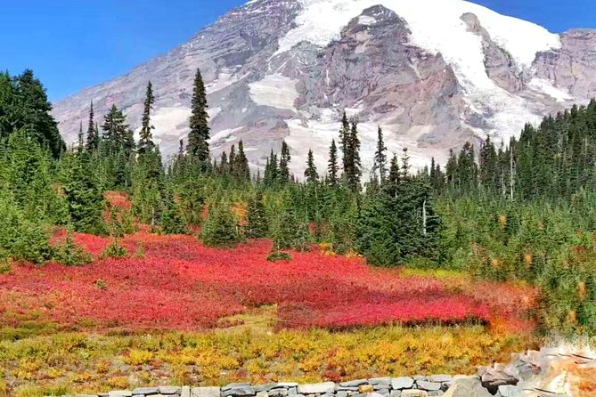 Mount Rainier National Park Day Tour From Seattle - Tour Sequence and Timing
