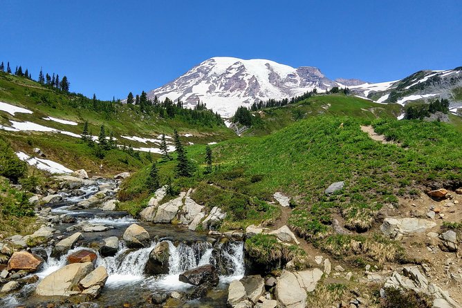 Mount Rainier National Park Luxury Small-Group Day Tour With Lunch - Highlights of the Tour