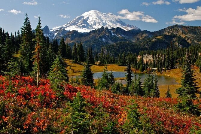 Mount Rainier National Park Luxury Small-Group Day Tour With Lunch - Additional Information