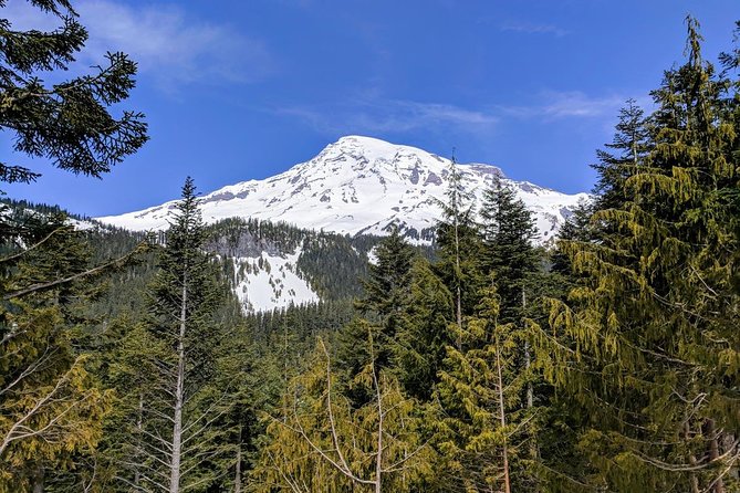 Mount Rainier National Park Luxury Small-Group Day Tour With Lunch - Cancellation Policy