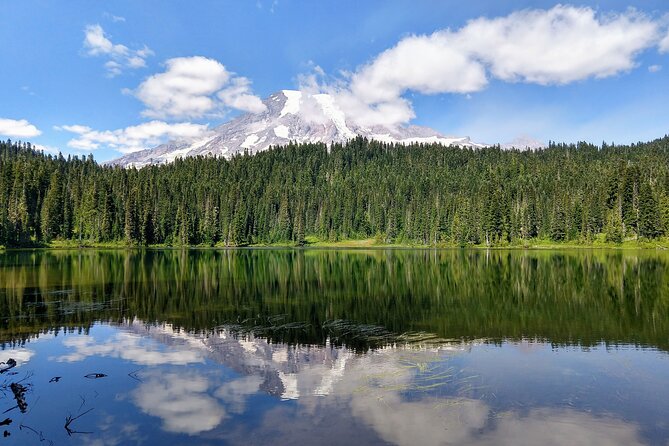 Mount Rainier National Park - Private Luxury Day Tour With Lunch - Reviews and Ratings