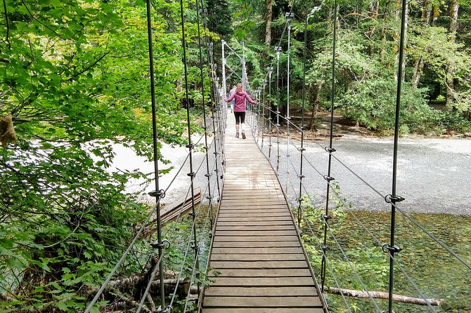Mount Rainier National Park - Private Luxury Day Tour With Lunch - Explore Old Growth Forests