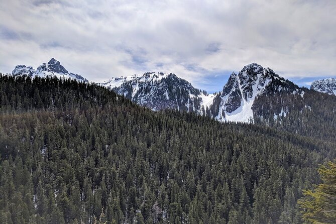 Mount Rainier National Park - Private Luxury Day Tour With Lunch - Alpine Meadows and Paradise