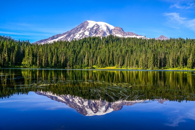 Mount Rainier National Park Tour From Seattle - Preparing for the Tour