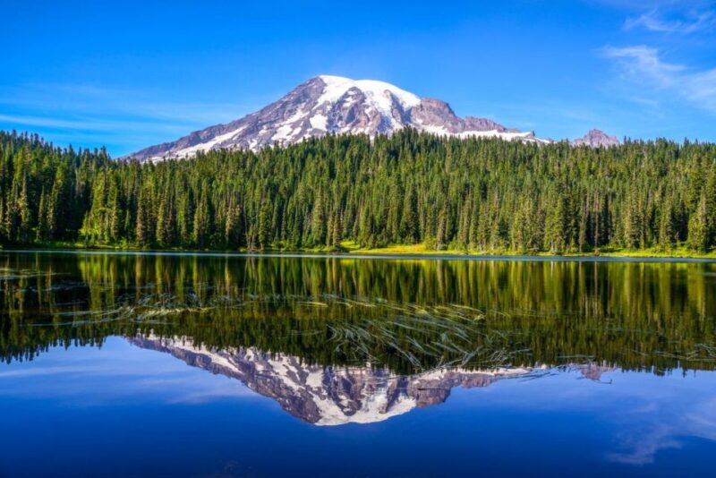 Mount Rainier National Park:Nature, Waterfalls,and Wildlife - Wildlife and Nature Experiences