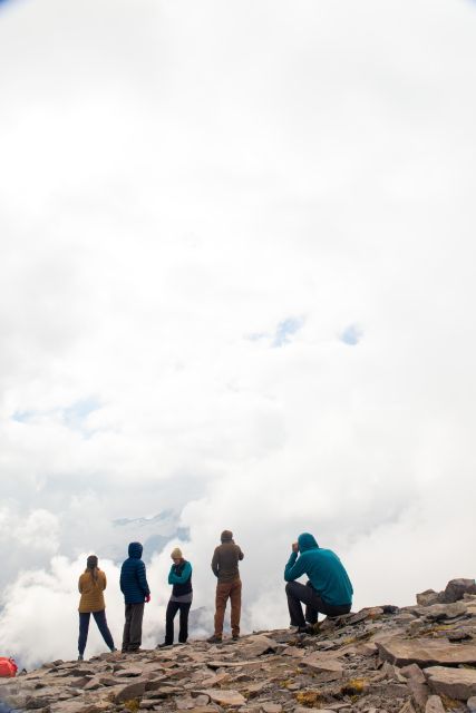 Mount Rainier Np: Full Day Private Tour & Hike From Seattle - Experience Highlights