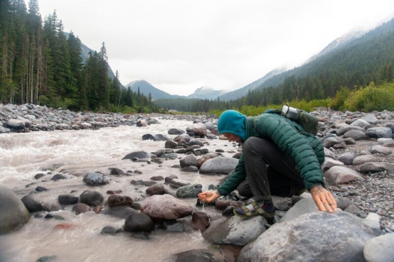 Mount Rainier Np: Full Day Private Tour & Hike From Seattle - Tour Details