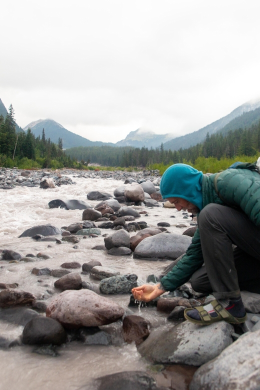 Mount Rainier Np: Full Day Private Tour & Hike From Seattle - Panoramic Views