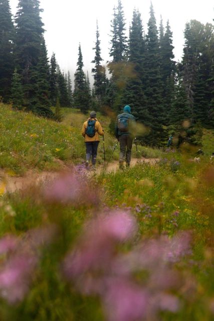 Mount Rainier Np: Full Day Private Tour & Hike From Seattle - Wildlife Spotting Opportunities