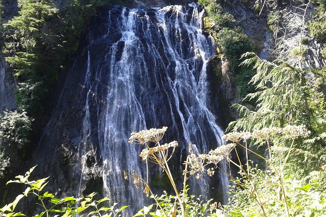 Mount Rainier Tour From Seattle - Sights and Highlights of the Tour