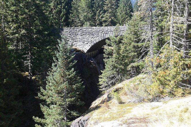 Mount Rainier Tour From Seattle - Transportation and Accessibility