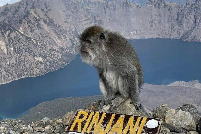 Mount Rinjani 2D 1N trekking to summit - The Sum Up