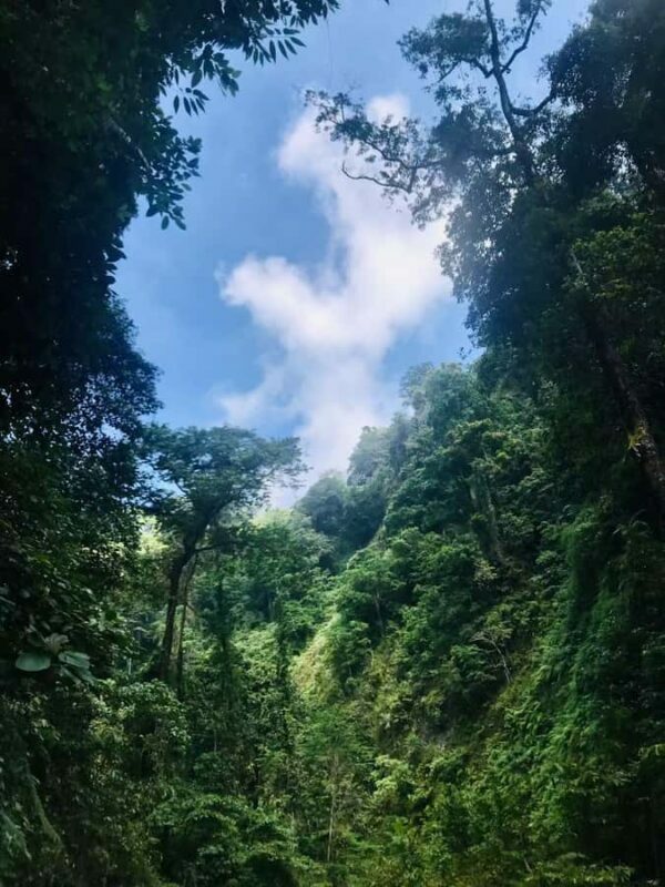 Mount Rinjani 2day and 1night Via Senaru Crater Rim - An In-Depth Look at the Rinjani Trek Experience