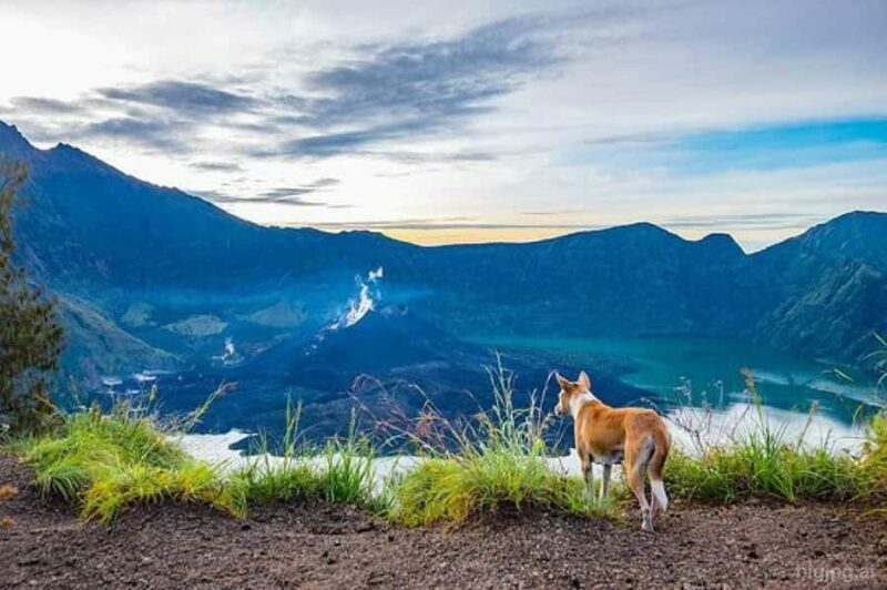 mount rinjani One day trek - Final Thoughts