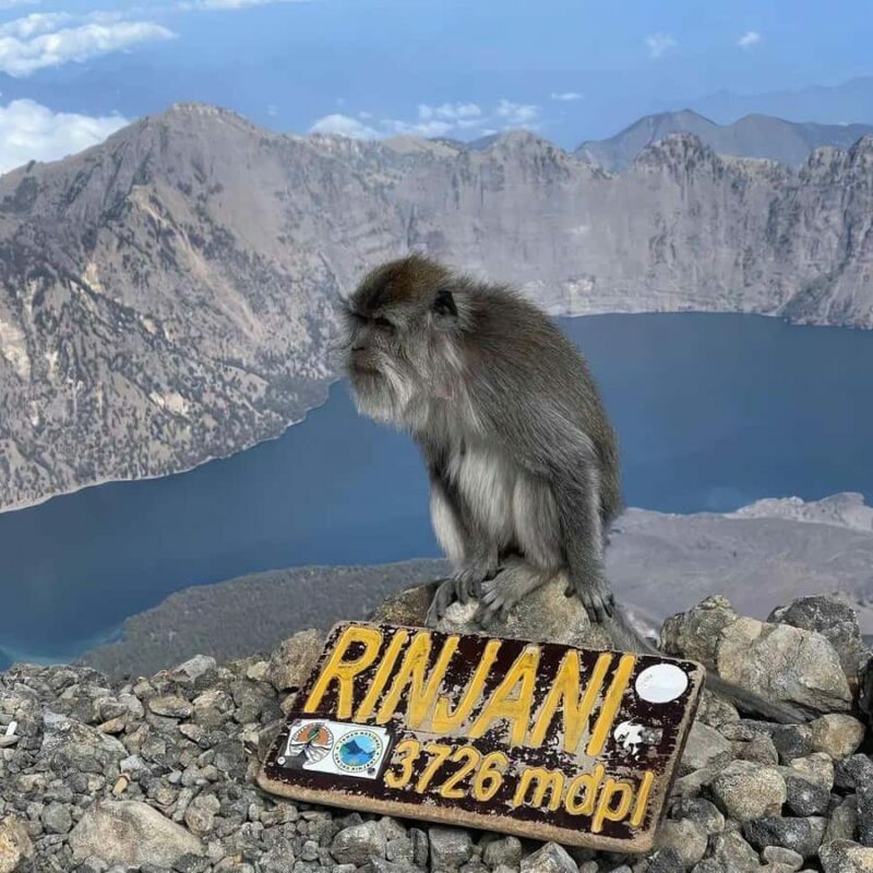 Mount rinjani summit 2 D/1 N tour - Key Points