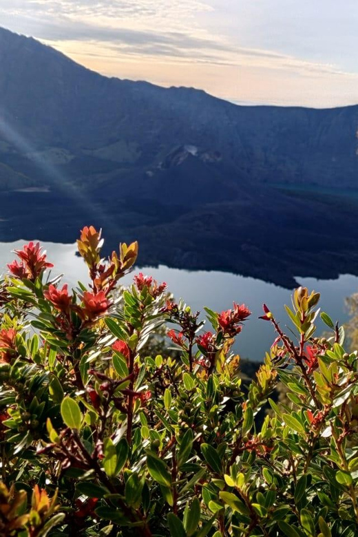 Mount Rinjani Trekking 3D/2N Summit,Lake&Senaru BestS ELLER - Inclusions