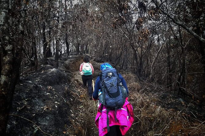 Mount Rinjani Trekking to Second Summit 2 Day 1 Night - Booking and Cancellation