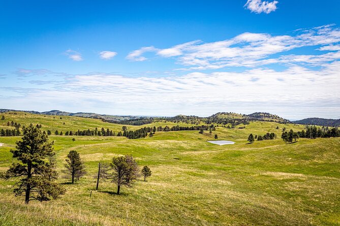 Mount Rushmore, Theodore Roosevelt and Badlands Audio Tour Guide - Pricing and Additional Costs