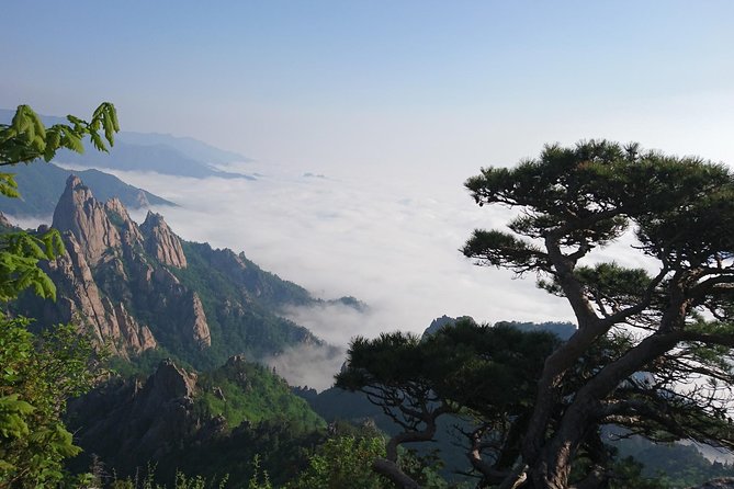 Mount Seoraksan, Temple, Fortress: Private Day Tour From Seoul - Exploring Gweongeumseong Fortress