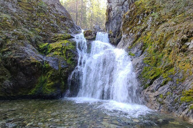 Mount Shasta Sacred Tour - What Makes This Tour Stand Out