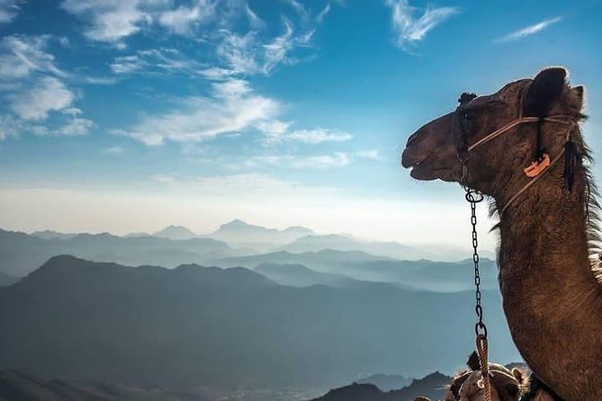 Mount Sinai Climb and Private St. Catherine Tour - St. Catherine Monastery