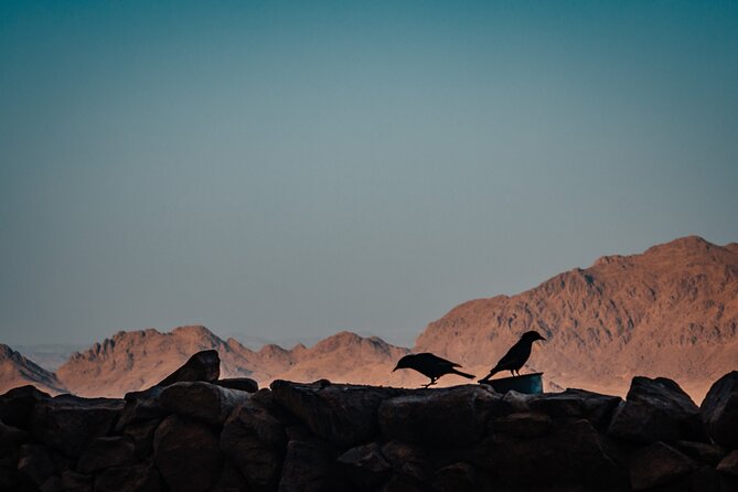Mount Sinai Moses' Mountain and St. Catherine Monastery Tour - Exploring the Sinai Desert