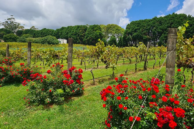 Mount Tamborine Wine Tasting Tour From Brisbane or the Gold Coast - Booking Information