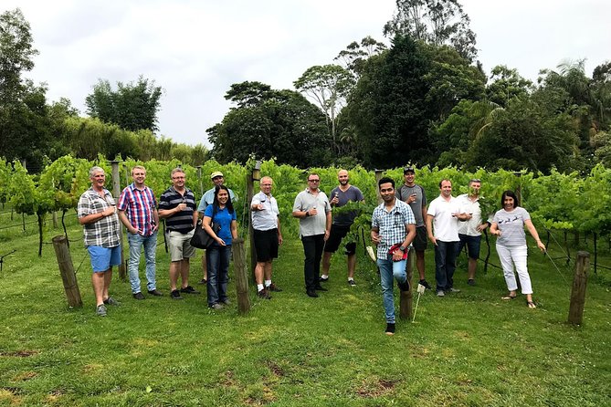Mount Tamborine Winery Tour With Gourmet Lunch - Transportation Options