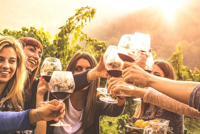 Mount Tamborine Winery Tour With Gourmet Lunch - Medical Considerations