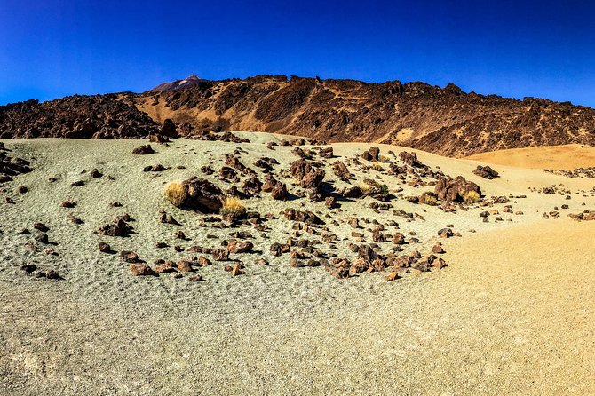 Mount Teide and Tenerife North With 5 Course Tasting Menu Private Tour - Savor Traditional Lunch Experience