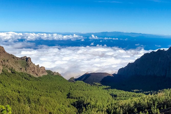 Mount Teide and Tenerife North With 5 Course Tasting Menu Private Tour - Booking and Confirmation Process