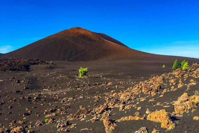 Mount Teide and Teno Country Park Private Tour - Participant Information