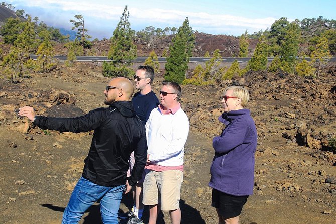 Mount Teide and Teno Country Park Private Tour - Tour Highlights