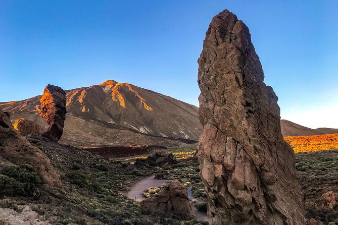 Mount Teide and Teno Country Park Private Tour - Guest Testimonials