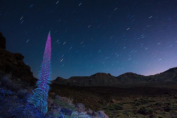 Mount Teide Night Tour: Stargazing, Dinner and Hotel Pick up - Dinner Location