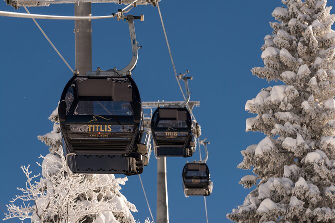 Mount Titlis Half-Day Trip From Lucerne - Glacier and Snow Activities