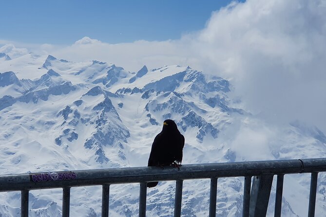 Mount Titlis Train Ticket and Self-Guided Tour From Luzern - Accessibility and Participation Requirements