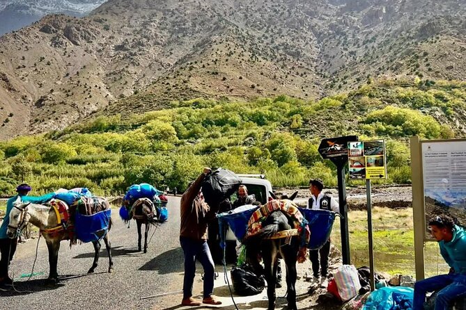 Mount Toubkal Summit - Departure and Return