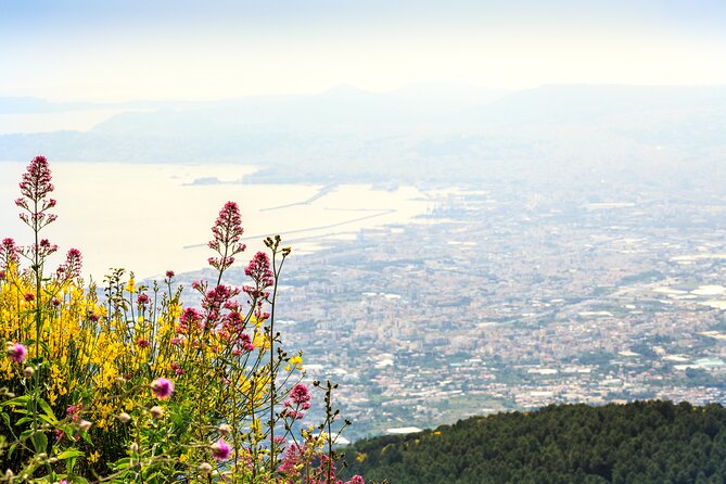 Mount Vesuvius Crater Visit From Naples - Viator Help Centre Inquiries