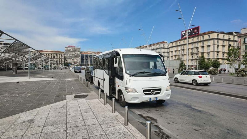 Mount Vesuvius From Naples: Bus, Ticket and Audio Guide - Key Points